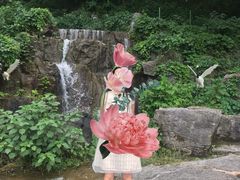 -陶祖圣境风景区