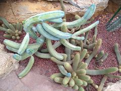 -南通洲际绿博园