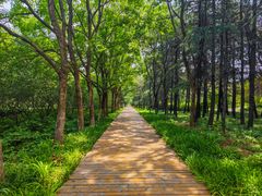 -洛阳市隋唐城遗址植物园