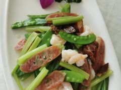 -云中小雅