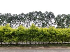 -三圣花乡旅游区