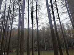 -波尔登森林公园