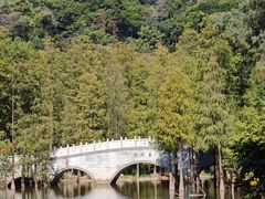 -云溪植物园