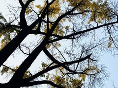 -四川大学(华西校区)