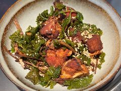 -芸鲜季·云南野生菌餐厅· 云南风物味研社(闵行店)