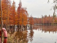 -白鹭湾湿地公园