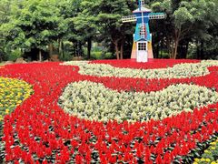 -上海共青森林公园