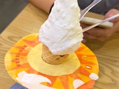 -野人先生Gelato(上海长宁龙之梦店)