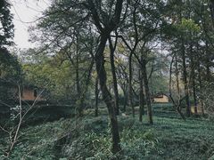 -法云安缦酒店