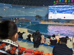 -泉城欧乐堡海洋极地世界