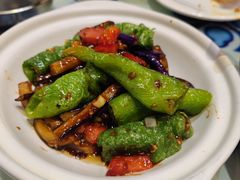 虎皮辣子烧茄子-撒拉花儿·新疆菜·清真(太阳宫店)