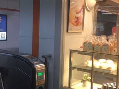 -乐悠琴馆·古琴古筝