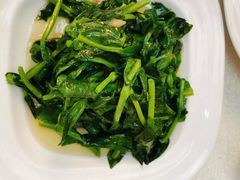 清炒豌豆尖-云腾食府·云南菜