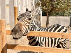 -水上乐园·欢乐世界