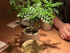 -CURRY YA 熟成咖哩專門店(深圳湾万象城店)