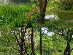 -新江湾城公园