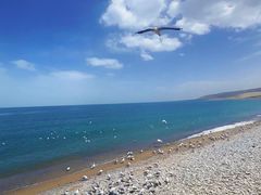 -青海湖国家重点风景名胜区