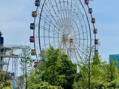 -洋湖国家湿地公园