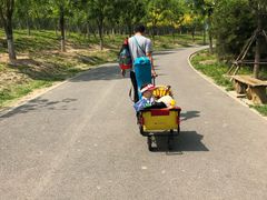 -东郊湿地公园