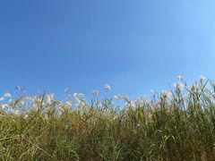 -汉江湾体育公园