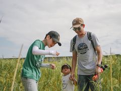 -上海长兴岛郊野公园