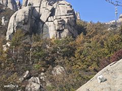 -崂山巨峰游览区