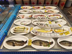 -大连湾旭日·家宴·海肠捞饭(马栏广场店)