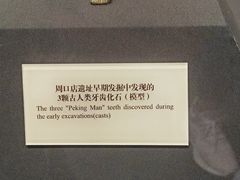 -北京周口店北京人遗址博物馆