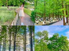 -艾溪湖湿地公园