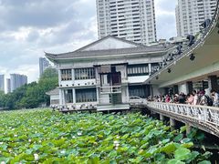 -荔湾湖公园