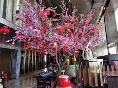 -金轩中餐厅 Jin Xuan(浦东丽思卡尔顿酒店)