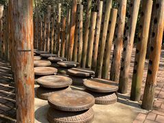 -南宁良凤江国家森林公园