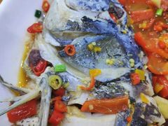 -全乐鱼馆·淳牌有机鱼直营店