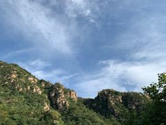 -大岭沟猕猴桃谷风景区