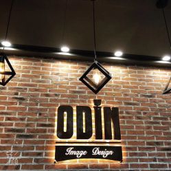 -ODIN 奥丁形象设计 