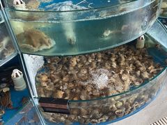 -蓝珊甄选海鲜自助·火锅大排档(近阿那亚店)