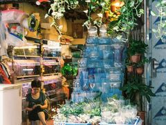 -清平路水族市场