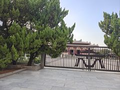 -洛阳古墓博物馆