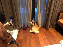 -上海崇明金茂凯悦酒店