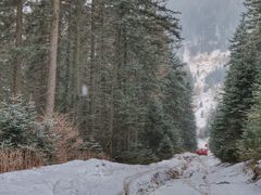 -芦芽山旅游度假区