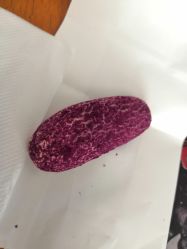 -鲍海兵