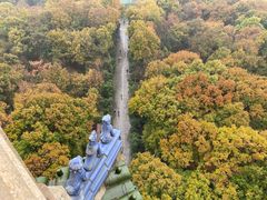 -灵谷景区