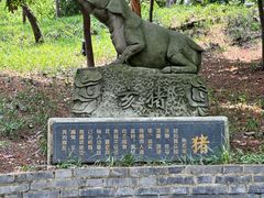 -房湖公园