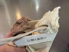 -野人牧坊Gelato(天津南开大悦城店)