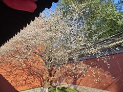 -钱王祠