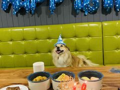 -百好乐宠物友好餐厅(朝外大街店)