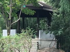 -菊花台公园