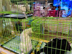 -北京华联购物中心(天通苑店)