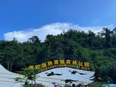 -西双版纳原始森林公园