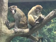 -福州罗源湾海洋世界旅游区